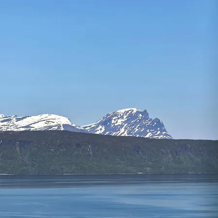 Big Central House, Free Parking, Wifi, 3 Bedrooms Narvik Exterior photo